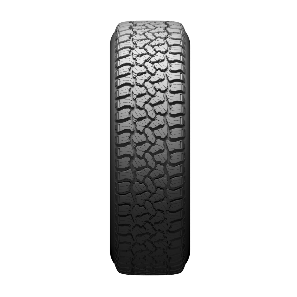 LION SPORT X/T