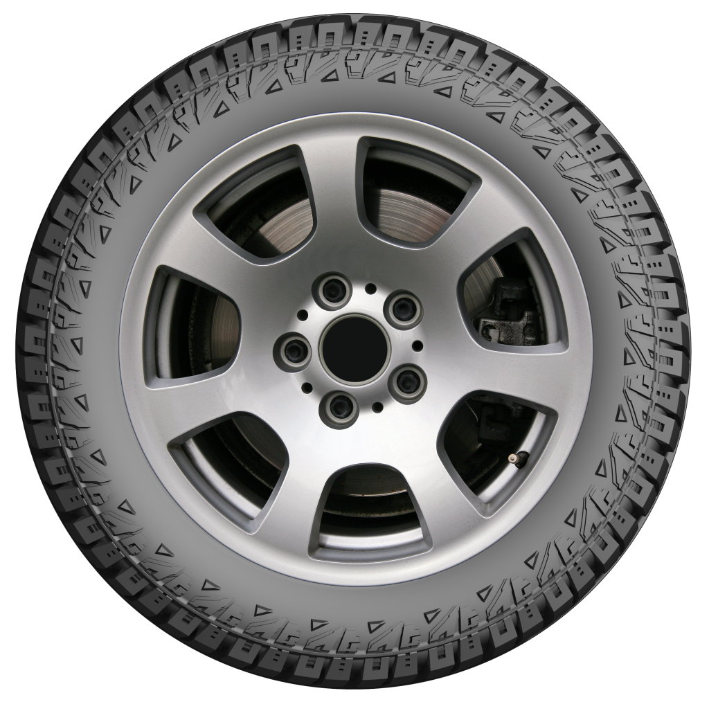 LION SPORT R/T