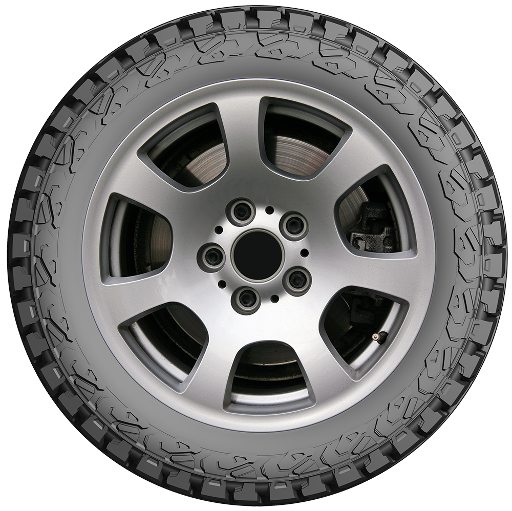 LION SPORT X/T