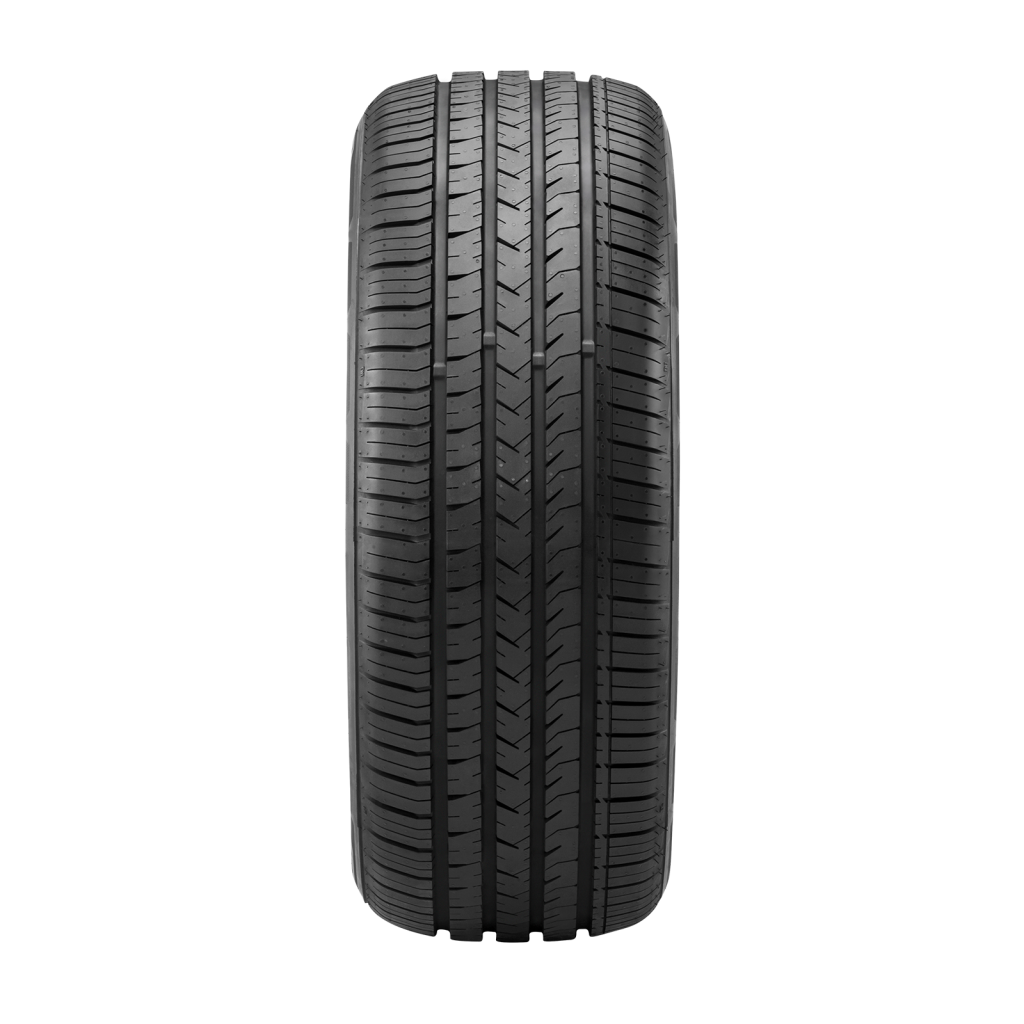 LION SPORT 3