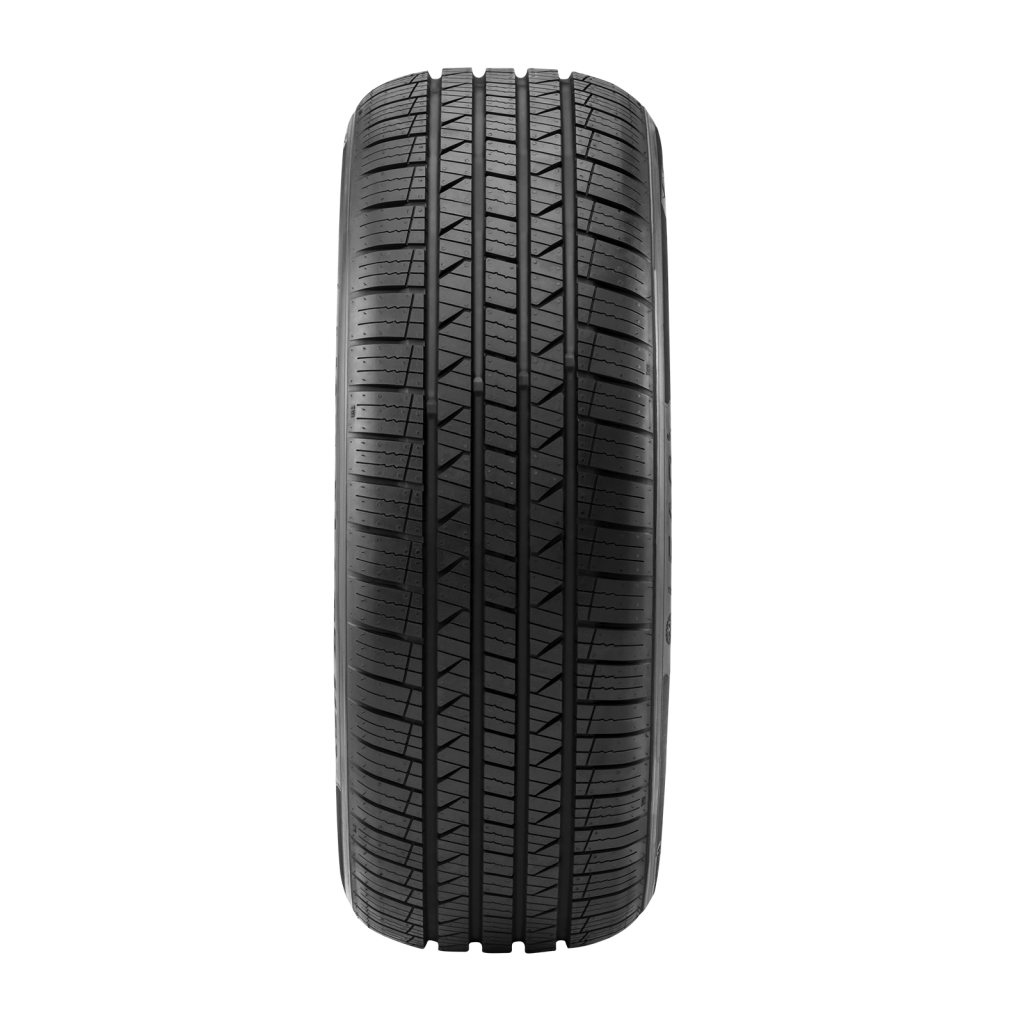 LION SPORT HP3