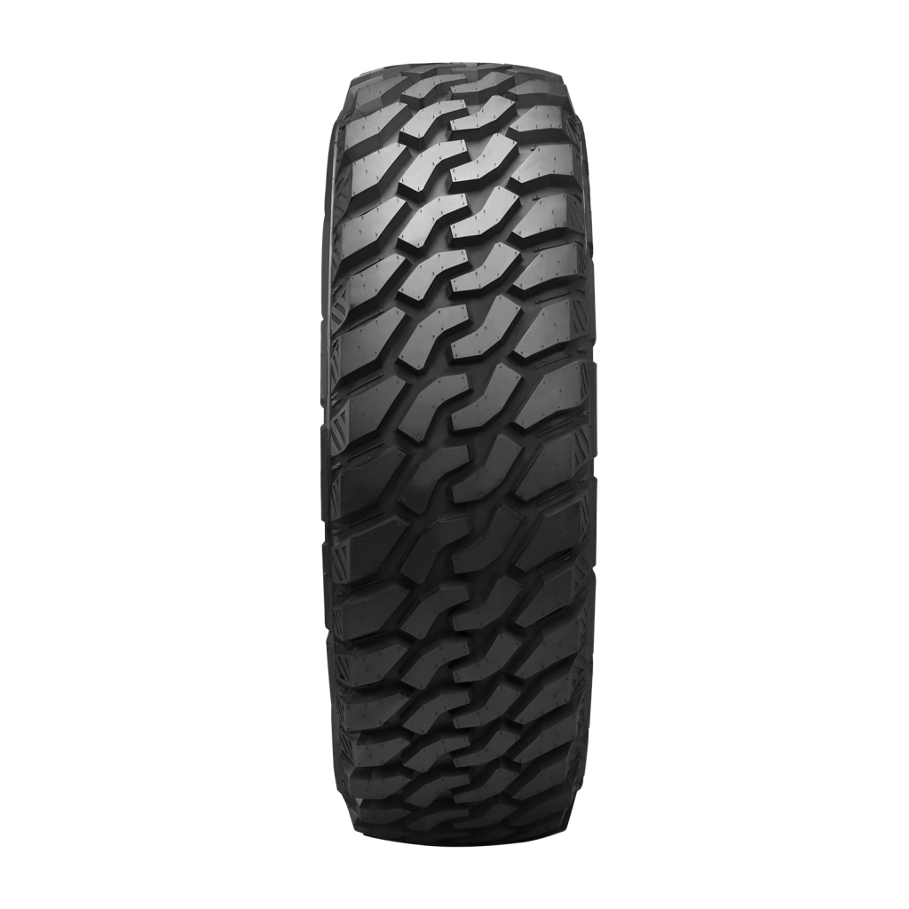 LION SPORT M/T