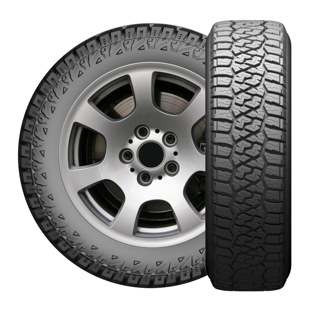 LION SPORT R/T