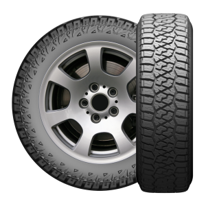 LION SPORT R/T