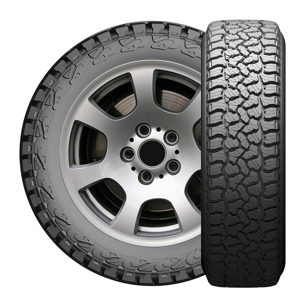LION SPORT X/T