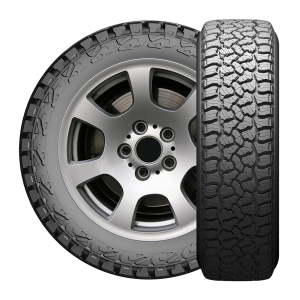 LION SPORT X/T