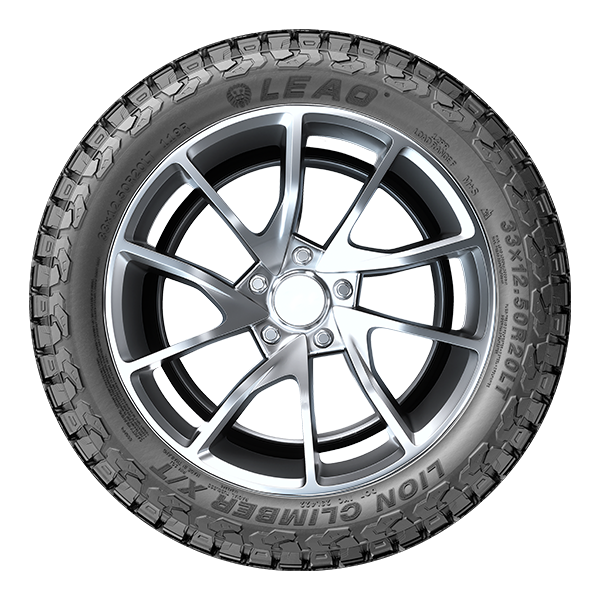 LION CLIMBER X/T