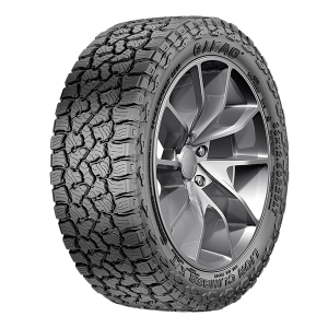LION CLIMBER X/T