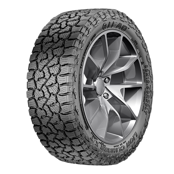 LION CLIMBER X/T